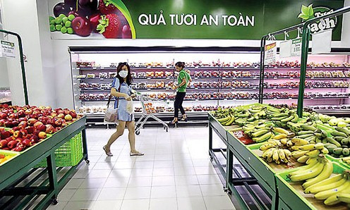 Doanh nghiệp nội khó tìm chỗ đứng trên thị trường bán lẻ, vốn được đánh giá là rất tiềm năng tại Việt Nam.