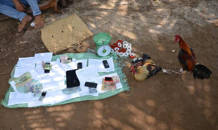 Hiện trường vụ đá gà.