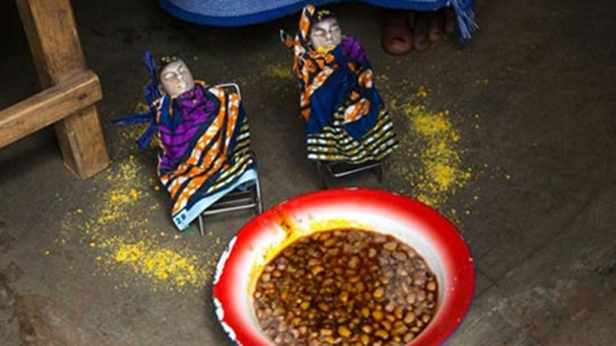 Các Hohovi đang chuẩn bị bữa ăn trưa.