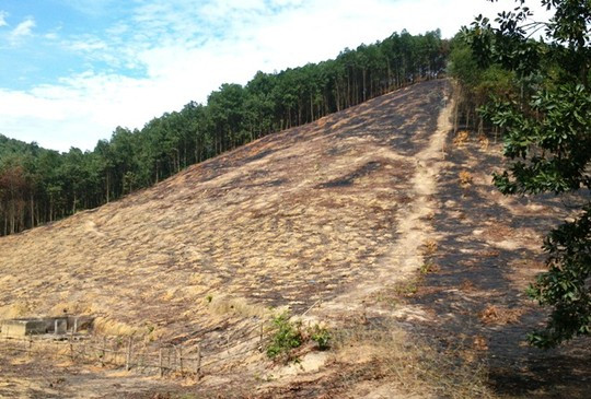 Hiện trường nơi người cháu phát hiện ông Số nằm chết.