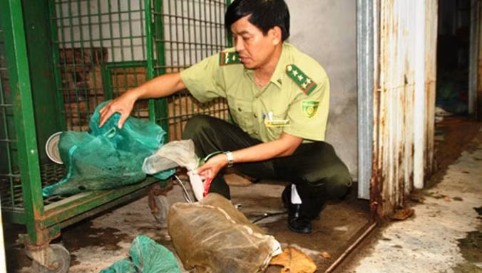 Lực lượng chức năng tỉnh TT-Huế phát hiện, bắt giữ một vụ vận chuyển động vật hoang dã trái phép. Ảnh: TL