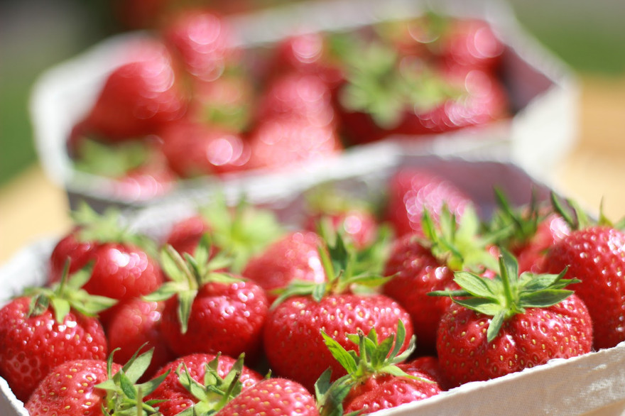 Ăn dâu tây giúp làm giảm cholesterol xấu