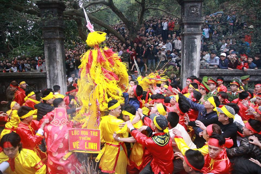 Lao vào cướp giò hoa tre. Ảnh: Nguyên Khánh