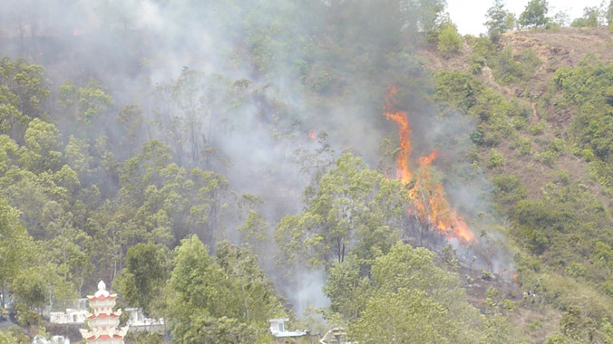 Đốt nhang viếng mộ, hàng chục ha rừng bị cháy 
