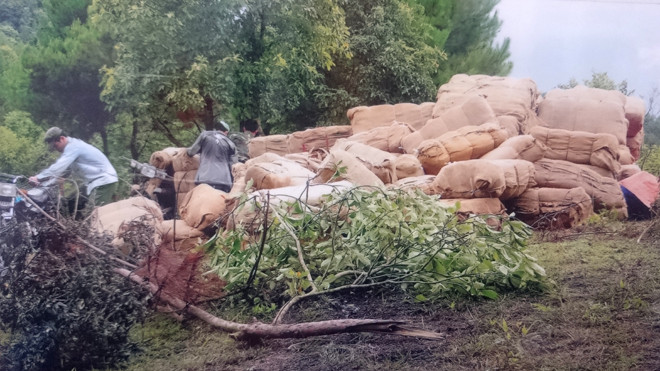 Một vụ buôn lậu thuốc lá ở biên giới Cao Bằng - Trung Quốc bị lực lượng chức năng phát hiện, bắt giữ
