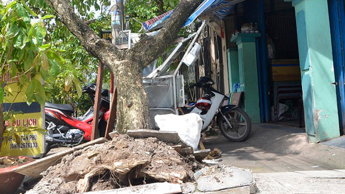 Hiện trường cây xanh bị xe đầu kéo tông ngã đè lên nhà dân. Ảnh: Đông Sơn.