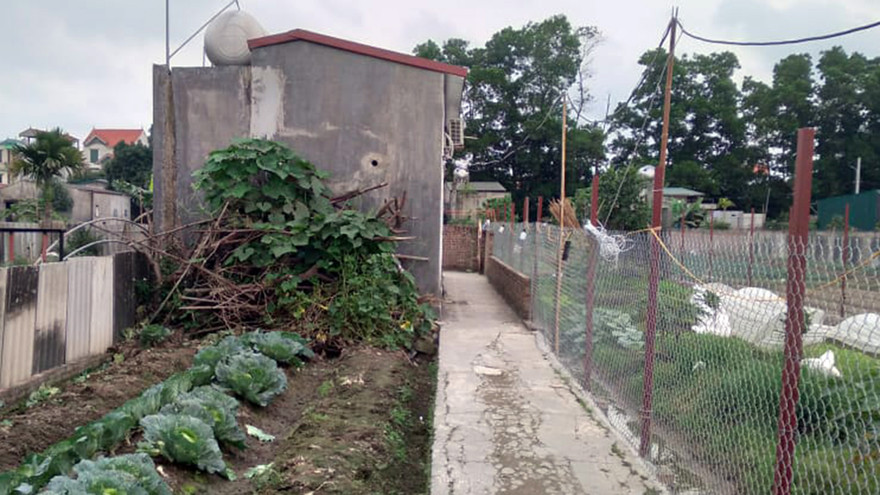 Ngôi nhà nơi xảy ra sự việc. Ảnh N.T