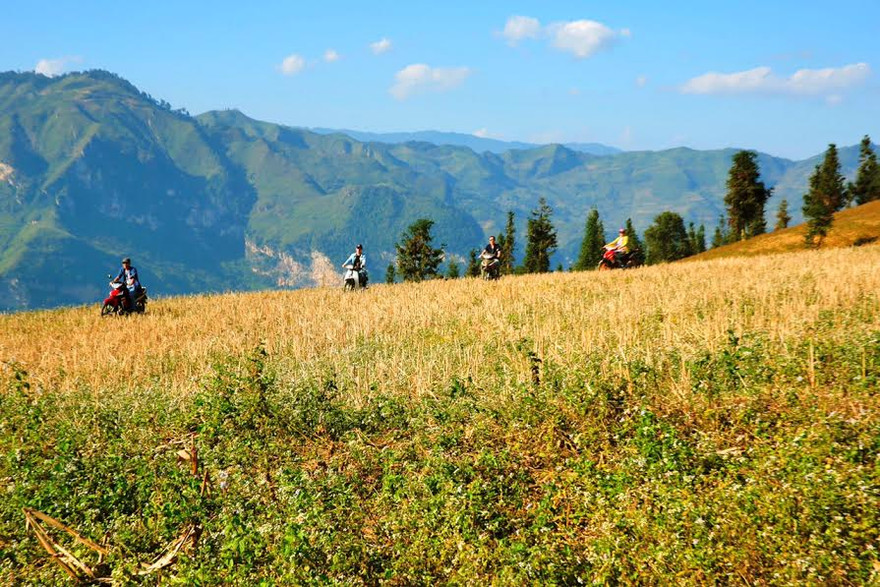 Ngỡ ngàng với vẻ đẹp cổ tích của 'nàng thơ' Xín Mần