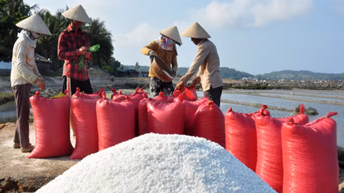 Do lượng muối năm ngoái còn tồn đến hơn 2.000 tấn nên năm nay bà con diêm dân Sa Huỳnh lâm cảnh điêu đứng vì giá giảm mạnh. Ảnh: Trí Tín.