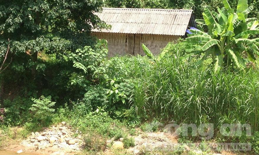 Nhà của nghi phạm Hùng. Ảnh: Công an TP HCM.