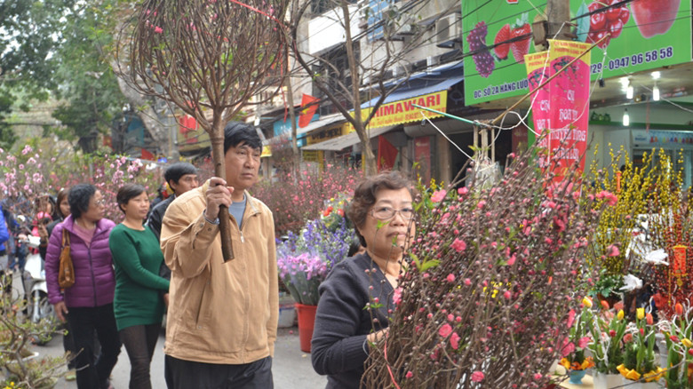 Chợ hoa Hàng Lược giữa phố cổ Hà Nội