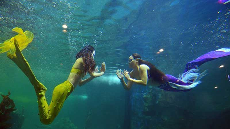 Thúy Hằng (vàng). (Ảnh: Hoàng Hà - Mạnh Thắng).