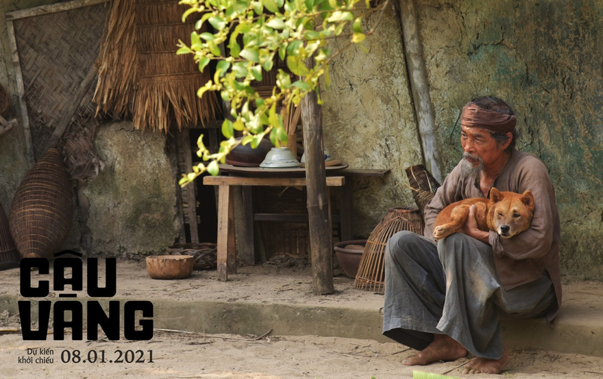 Cậu Vàng được mong chờ dịp đầu năm 2021