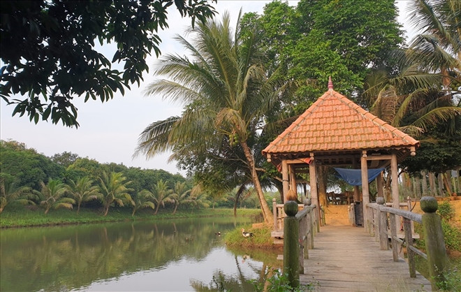 Trang trại của ông Nguyễn Hồng Thái. Ảnh: VTC News