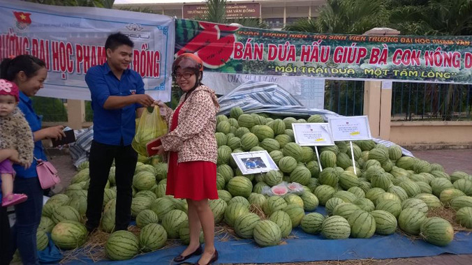 Đoàn viên thanh niên Quảng Ngãi bán dưa giúp bà con nông dân. Ảnh: Lê Vin.