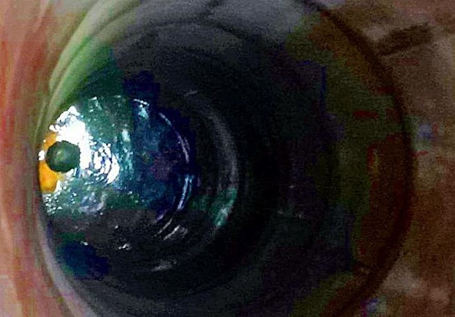 Trần Đình Long cố thủ dưới giếng