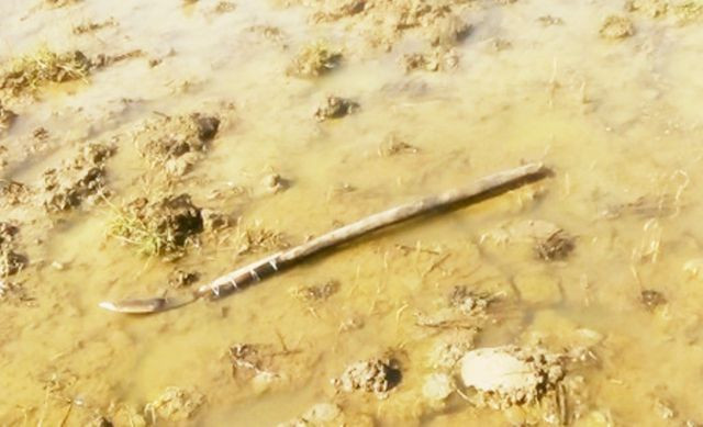 Hung khí tại hiện trường