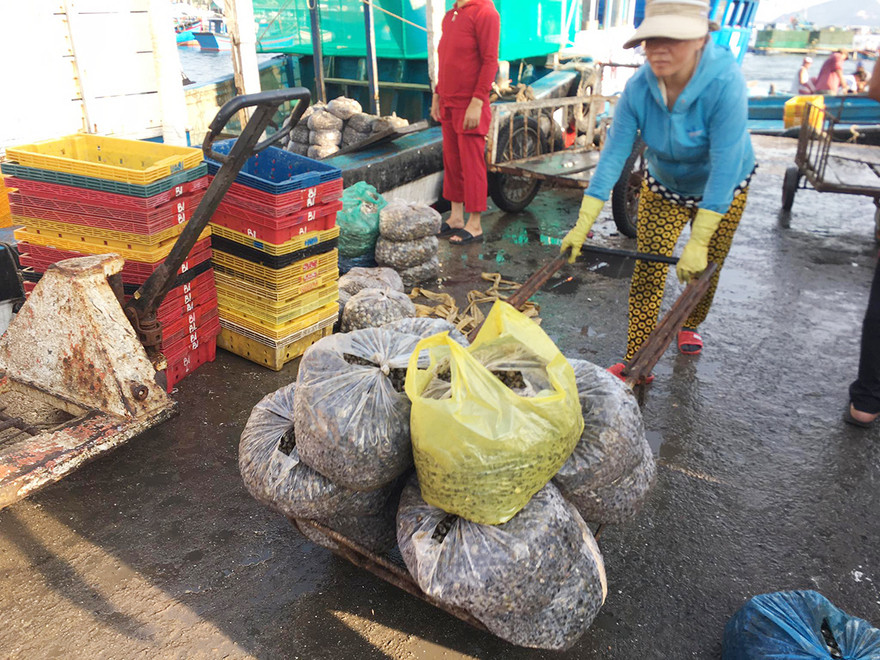 Dịch Covid-19 đang ảnh hưởng tới mọi mặt đời sống xã hội, kinh tế. Ảnh minh họa của: Tuấn Nguyễn