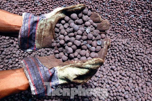 Đến nay, vẫn còn 8/13 doanh nghiệp nợ hơn 200 tỷ đồng tiền thuế xuất khẩu quặng sắt tại địa bàn Lào Cai