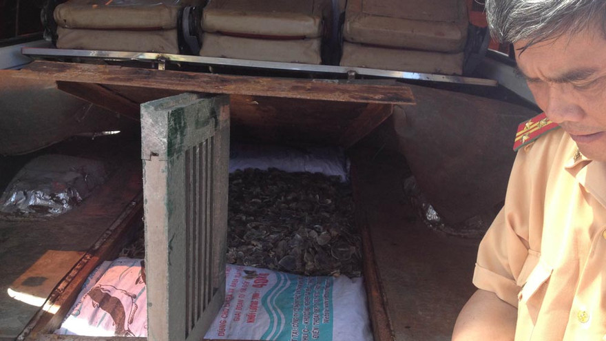 Tang vật do lực lượng CSGT thu giữ