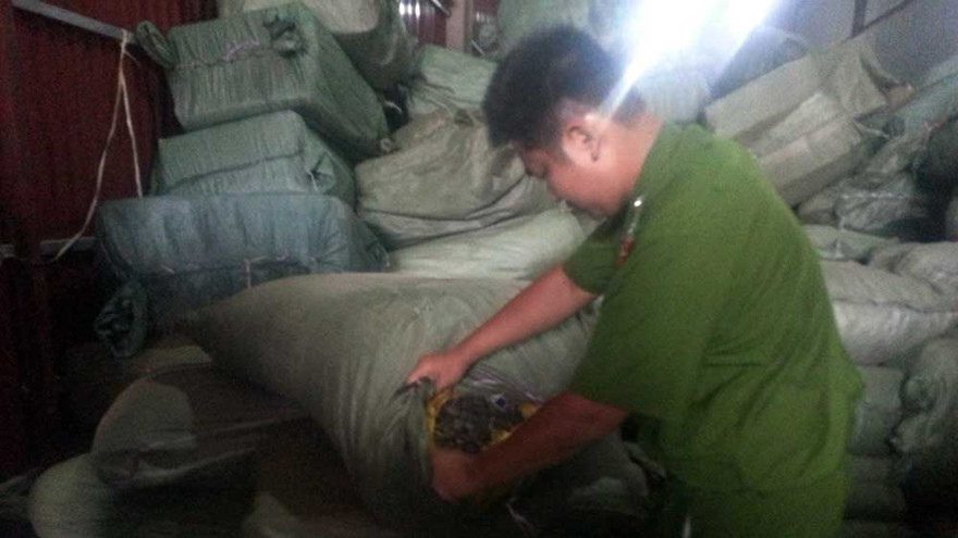 Tạm giữ 70 tấn nguyên liệu thuốc bắc nghi nhập lậu