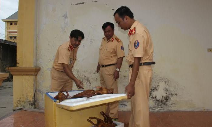 Số cá thể mèo hôi thối bị lực lượng CSGT thu giữ.