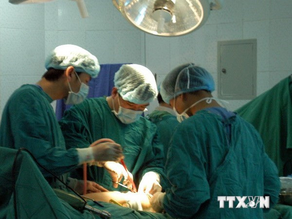 Hình minh họa. (Nguồn: TTXVN)