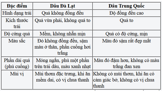 Nhận biết dâu tây Đà Lạt và dâu tây Trung Quốc