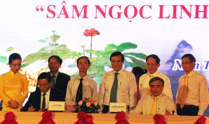 Khai mạc lễ hội sâm núi Ngọc Linh.