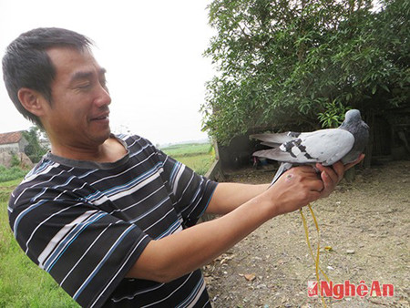 Anh Thắm với chim đưa thư có chữ lạ vừa bắt được.