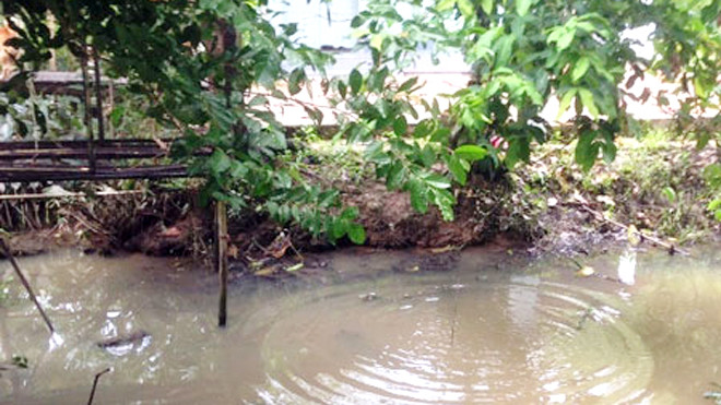 Ảnh minh họa - Nguồn ảnh Internet