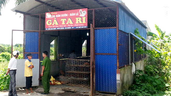 Chị Hương bị đâm chết ngay tại trại gà. Ảnh: Giang Chinh