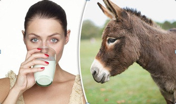 Uống sữa lừa giúp bạn có trái tim khỏe mạnh và làn da mịn màng