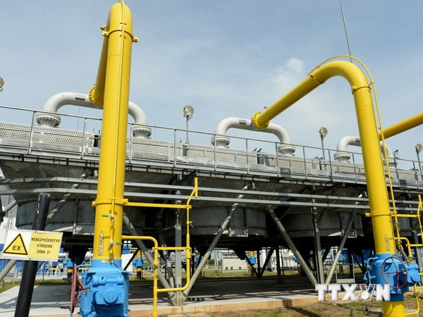 Ảnh minh họa. (Nguồn: THX/TTXVN)