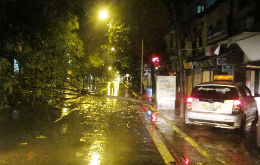 [VIDEO] Cây đổ chắn ngang đường trong đêm, ô tô đi lên vỉa hè