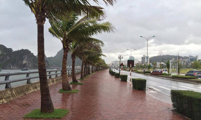 Tại TP.Hạ Long, Quảng Ninh đã bắt đầu mưa và gió mạnh. Ảnh: VietNamNet.