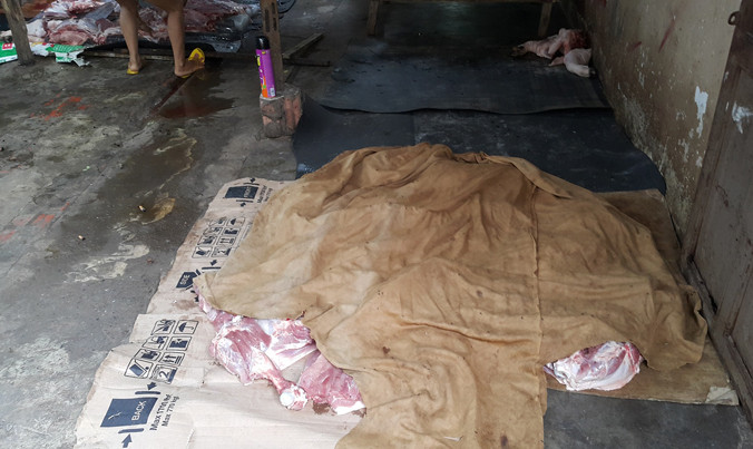 Hơn 3 tạ thịt heo bị buộc tiêu hủy.