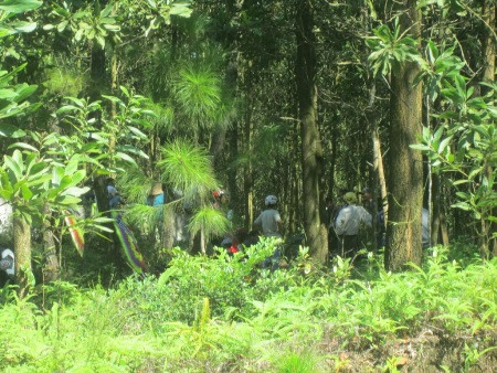 Phát hiện xác người đàn ông đang phân hủy ở nghĩa địa