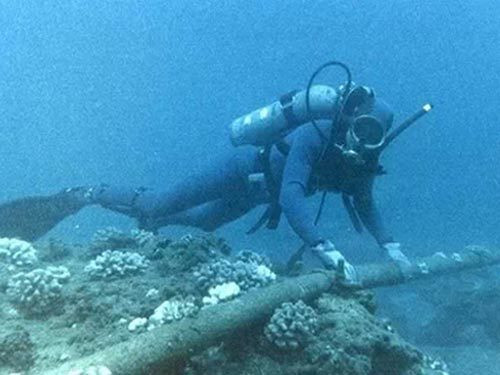 17 ngày nữa internet mới hoạt động bình thường