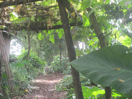 Hiện trường phát hiện thi thể nạn nhân 