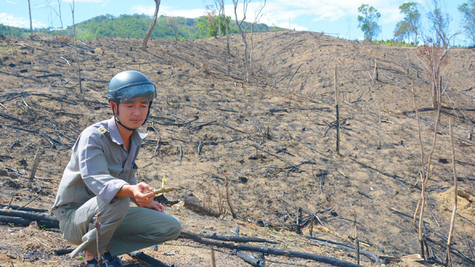 Dân biến đất rừng thành đồi trọc.