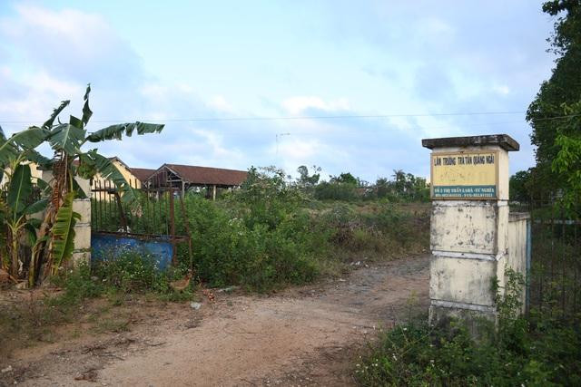 công ty TNHH MTV Lâm nghiệp Trà Tân hoang tàn sau 4 năm ngừng hoạt động. Ảnh: DT