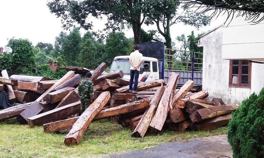 Số gỗ lậu bị thu giữ.