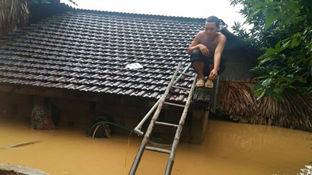 Người dân miền Trung đang vô cùng vất vả đối phó với lũ