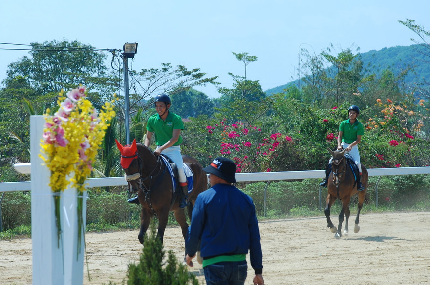 Ra mắt CLB Cưỡi ngựa Olympic