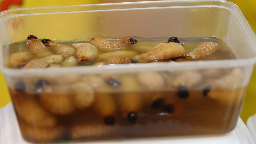 Món ăn bị cấm nhưng vẫn được đưa vào liên hoan 'Món ngon các nước'