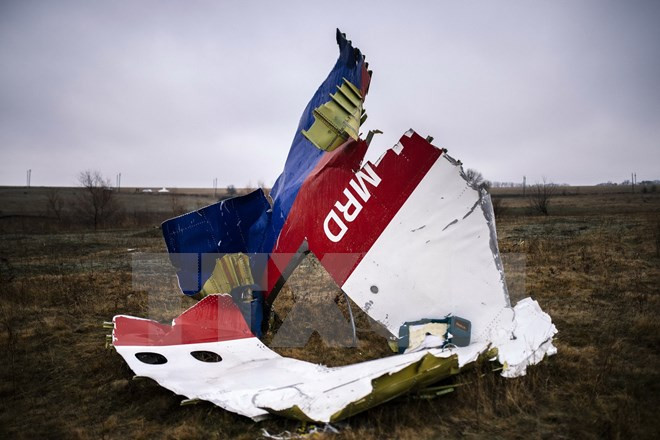 Một phần xác máy bay MH17 ở làng Grabovo, cách Donetsk, Ukraine khoảng 80km về phía đông ngày 10/11/2014. (Nguồn: AFP/TTXVN)