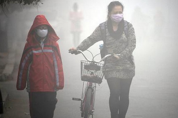 Ảnh minh họa: The World Beast