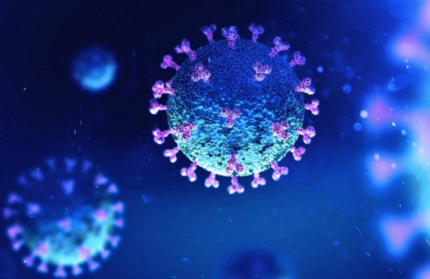 Hình ảnh virus corona. (Ảnh: Shuttlestock)