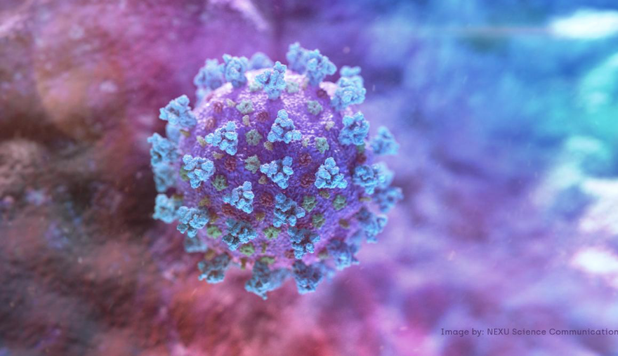Hình ảnh virus corona gây ra đại dịch COVID-19
